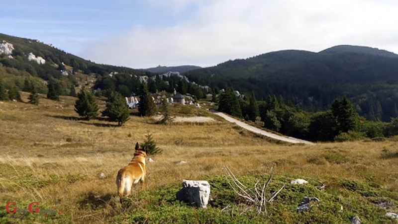 HIGHLANDER Velebit Croatia u potrazi za volonterima