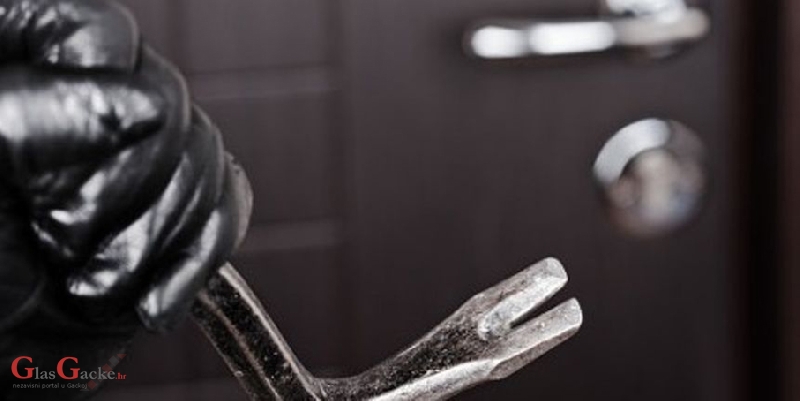 U kriminalnoj bašči svakakvoga cvijeća