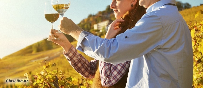 Vučković u Bruxellesu zatražila dodatne potpore za vinare 