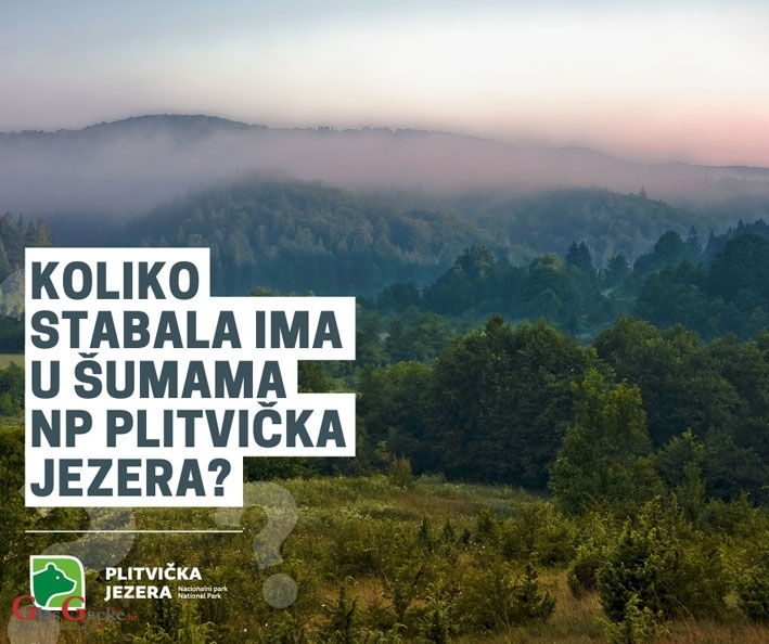 Nagradni natječaj – koliko stabala ima u šumama NP Plitvička jezera?    
