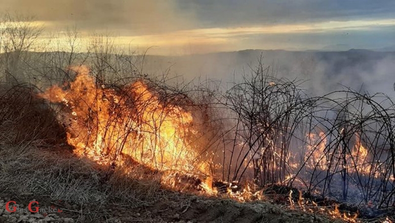 Apel Hrvatskih šuma u svezi paljenja suhe trave