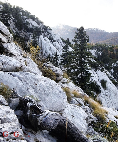 Tjedan odmora vrijedan u NP Sjeverni Velebit cijene upola niže 