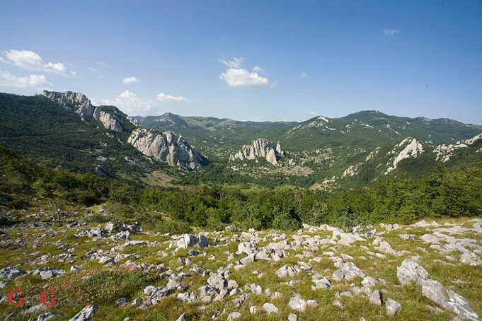Javite se, nije namještaljka