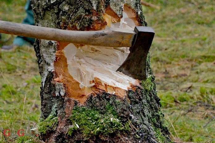 Zima je, treba drva Zima je, treba drva