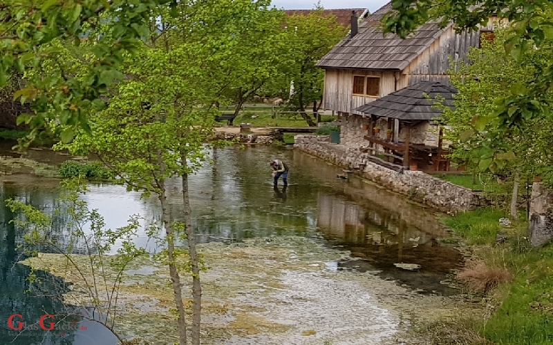 "Boja" iz Čanka stigla u Majerovo i Klanac vrilo