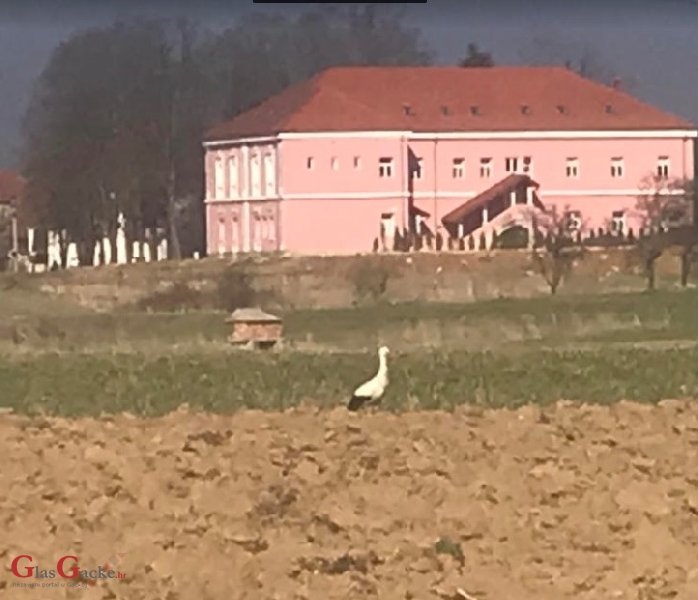 Roda uranila na gozbu u Otočcu!