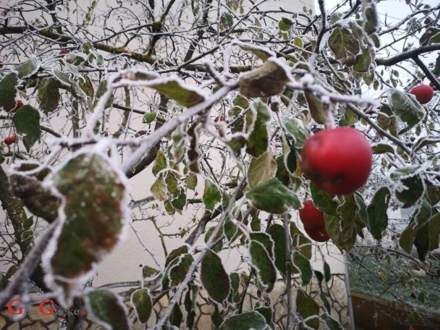 Maglovito i prohladno jutro u Gackoj 