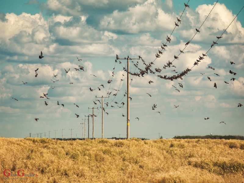 Poznati rezultati foto natječaja „Volim svoju županiju“ 2019. 