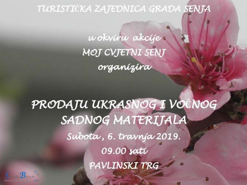 Akcija prodaje ukrasnog i voćnog sadnog materijala, Senj, Pavlinski trg, 6. travnja 2019.