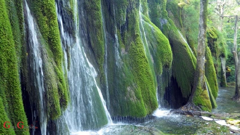 Tjedan flore i faune NP Plitvička jezera Tjedan flore i faune NP Plitvička jezera