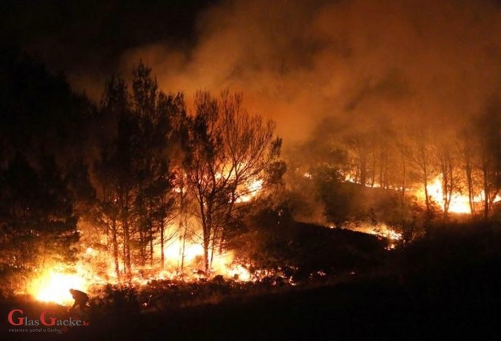 Uhitili ga zbog potpaljivanja šumskog požara Uhitili ga zbog potpaljivanja šumskog požara