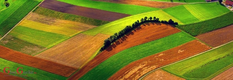 Nove mjere pomoći poljoprivrednicima Nove mjere pomoći poljoprivrednicima