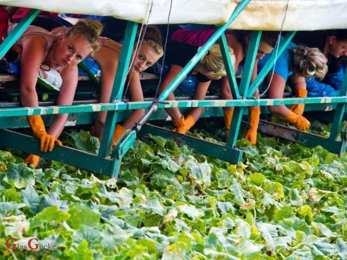 Isplata prve rate potpora kreće 17. veljače  Isplata prve rate potpora kreće 17. veljače