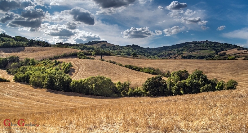 Produženje roka primarnima poljoprivrednim proizvođačima za prihvaćanje Odluka u AGRONET-u