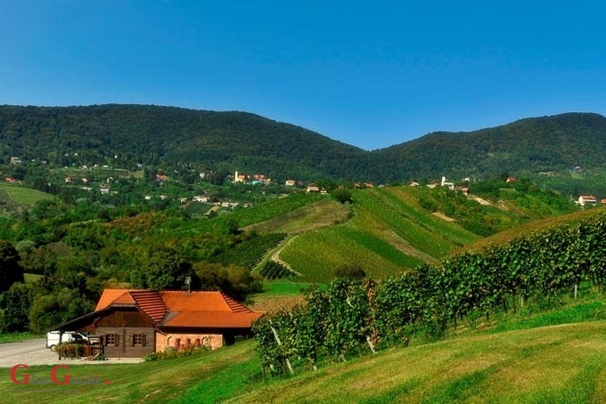 Financiranje programa i projekata udruga koje promiču poljoprivredu i vrijednost ruralnog prostora