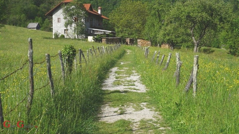 Dodatnih 185 milijuna kuna za pokretanje i razvoj nepoljoprivrednih djelatnosti i korištenje obnovljivih izvora energije 