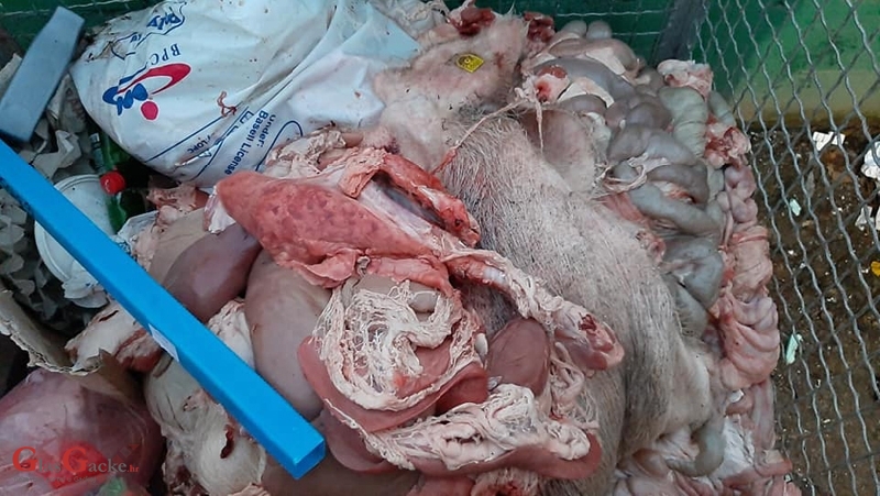 Program potpore za zbrinjavanje nusproizvoda životinjskog podrijetla  Program potpore za zbrinjavanje nusproizvoda životinjskog podrijetla
