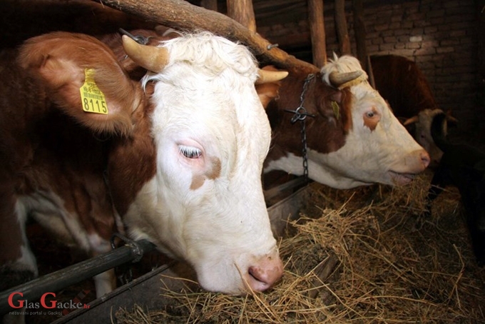 Ostvaren kontakt s 1.223 PG-a i zaprimljeno 130 tona stočne hrane Ostvaren kontakt s 1.223 PG-a i zaprimljeno 130 tona stočne hrane