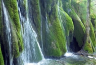 Tjedan flore i faune NP Plitvička jezera Tjedan flore i faune NP Plitvička jezera