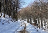 Oprez pri posjeti NP Sjeverni Velebit Oprez pri posjeti NP Sjeverni Velebit