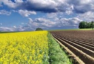 Investicijski krediti za ruralni razvoj Investicijski krediti za ruralni razvoj