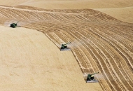 1,3 milijarde kuna poljoprivrednicima - isplata počinje 15. studenoga 