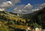 Zbog korone NP S. Velebit otkazuje volonterski program