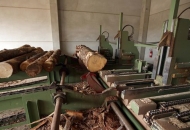 10 milijuna kuna bespovratne pomoći drvoprerađivačima na Banovini