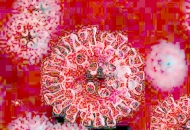 Građevinski radnik ima koronavirus Građevinski radnik ima koronavirus