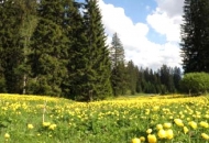 Rezultati rođendanskoga kviza NP Sjeverni Velebit