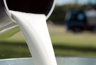 Županija će sufinancirati troškove prijevoza mlijeka malih proizvođača