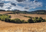 Produženje roka primarnima poljoprivrednim proizvođačima za prihvaćanje Odluka u AGRONET-u