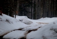 U NP Sjeverni Velebit ima snijega na cestama U NP Sjeverni Velebit ima snijega na cestama