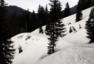 Informacije o stanju prohodnosti u NP Sjeverni Velebit Informacije o stanju prohodnosti u NP Sjeverni Velebit