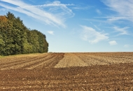 Novi natječaj za obnovu poljoprivrednog zemljišta