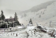 Obavijest o stanju u NP Sjeverni Velebit Obavijest o stanju u NP Sjeverni Velebit