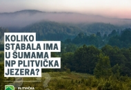 Nagradni natječaj – koliko stabala ima u šumama NP Plitvička jezera? Nagradni natječaj – koliko stabala ima u šumama NP Plitvička jezera?