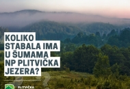 Nagradni natječaj – koliko stabala ima u šumama NP Plitvička jezera?    