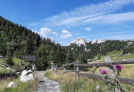 10. tjedan botaničkih vrtova, arboretuma i botaničkih zbirki 10. tjedan botaničkih vrtova, arboretuma i botaničkih zbirki