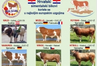 Povijesni uspjeh hrvatskog uzgoja goveda Povijesni uspjeh hrvatskog uzgoja goveda