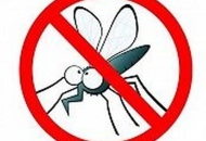 Provođenje obvezatne preventivne larvicidne dezinsekcije Provođenje obvezatne preventivne larvicidne dezinsekcije