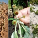 Istječe rok za korištenje bospovratnih sredstava za elementarne nepogode