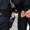 Uhićen i pritvoren zbog teške krađe, usput pružao otpor