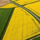 Slavonija se zainatila, ne da zemlju Rusima