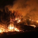 Uhitili ga zbog potpaljivanja šumskog požara