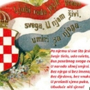 Političari se odrekli hrvatskoga jezika?