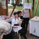 The Coklje Fest Otočac 2019. nadmašio i najoptimističnija očekivanja