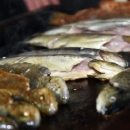 Prva večer u znaku Gastrogacke