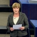 Tomašić: Vrijeđa me da zaboravljate srbočetničku agresiju na Hrvatsku