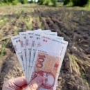 Započela isplata 1,3 milijarde kuna predujma poljoprivrednicima
